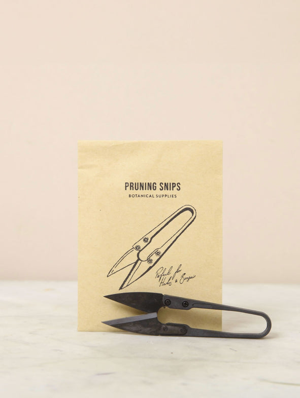 Indoor Plant Snips